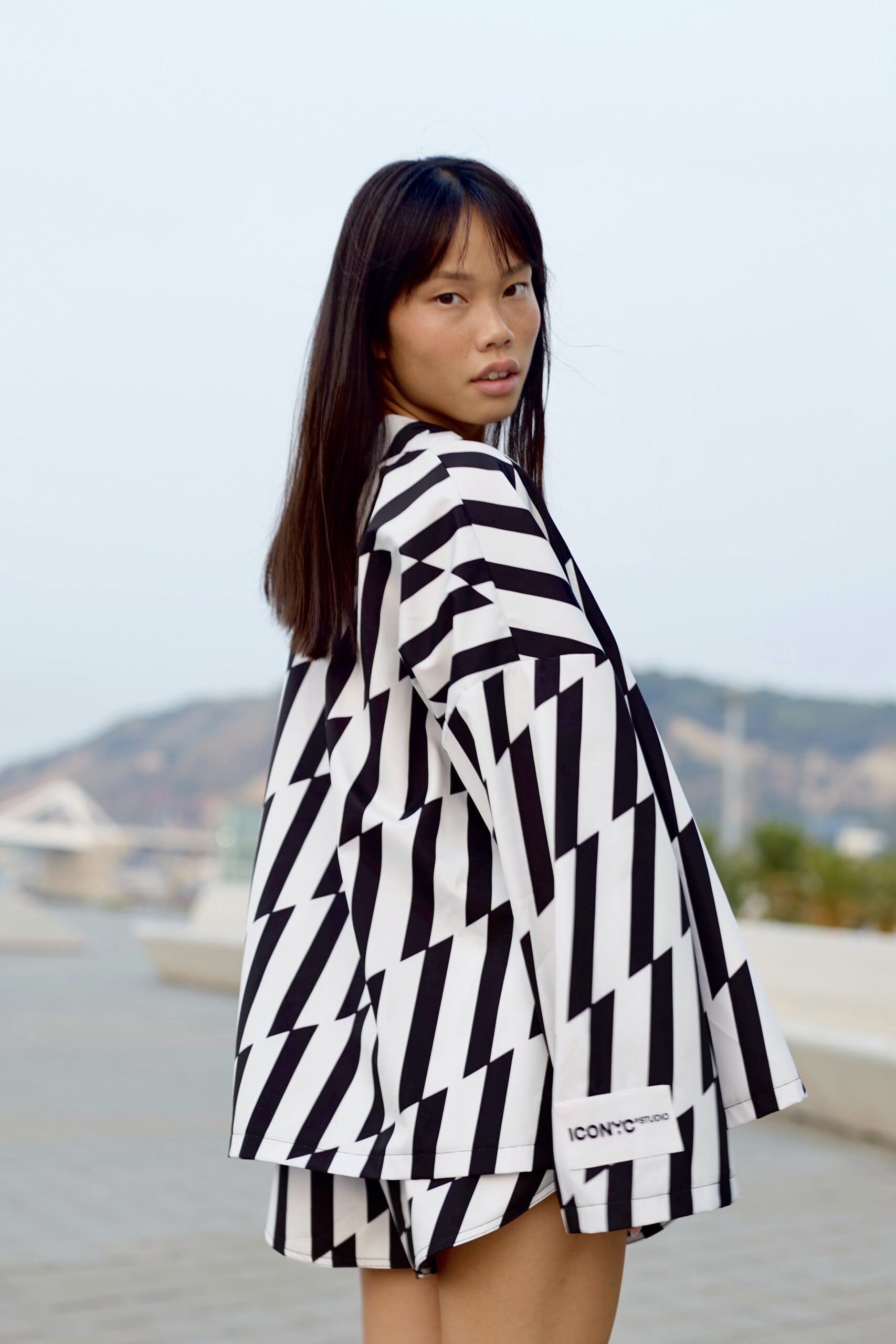 STRIPE THEORY - Image 3